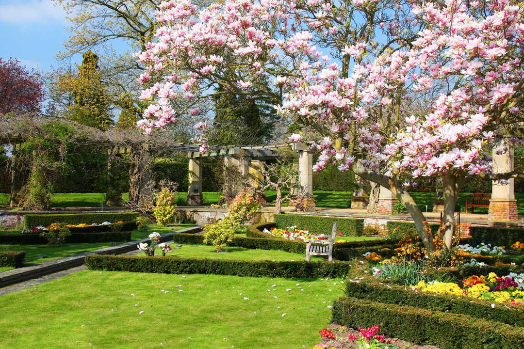 entretenir jardin été